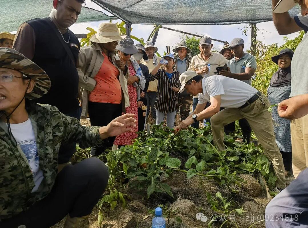 授人以渔润心田 矢志不移谱新篇