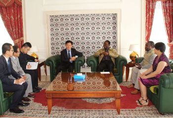 董事长罗利平陪同驻赤几使馆大使陈国友会见赤几总统奥比昂和第一夫人