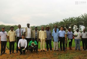 赤道几内亚农业、畜牧、森林和环境部驻大陆地区代表莅临援赤道几内亚示范农场视察指导