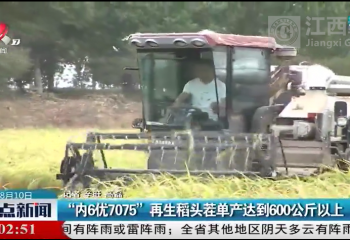 院士工作站试验基地开镰测产 再生稻头茬单产达到600公斤以上