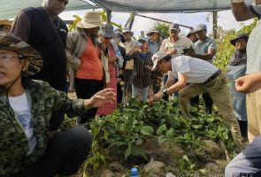 授人以渔润心田 矢志不移谱新篇
